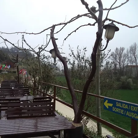 De Peregrinos A Santiago