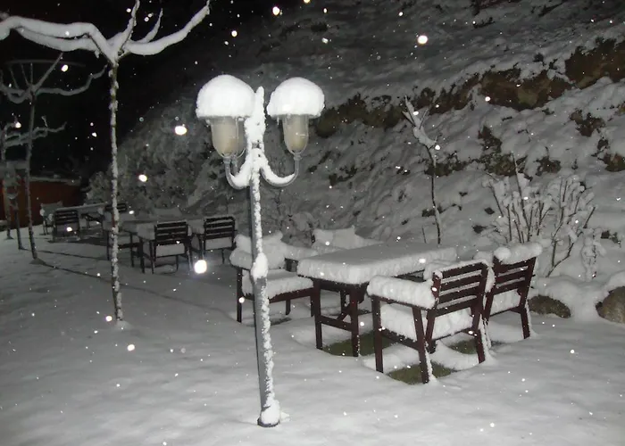 De Peregrinos A Santiago Белорадо